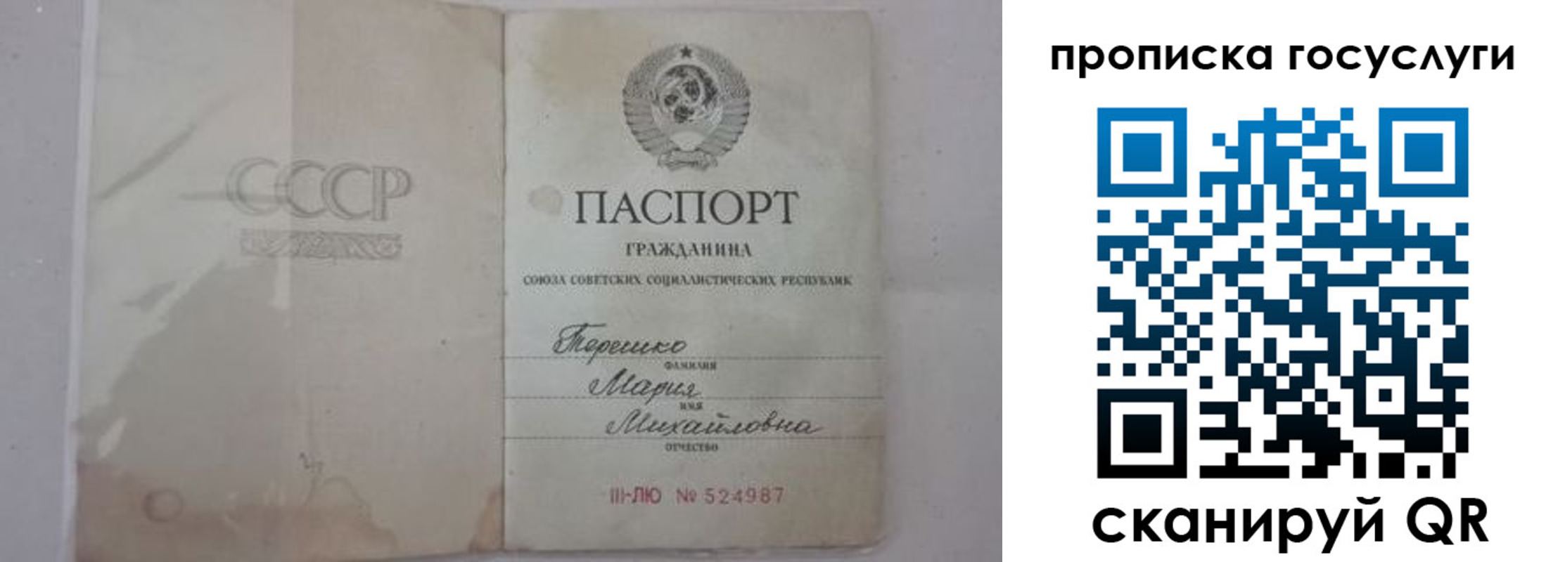 прописка ребенка в Никольском